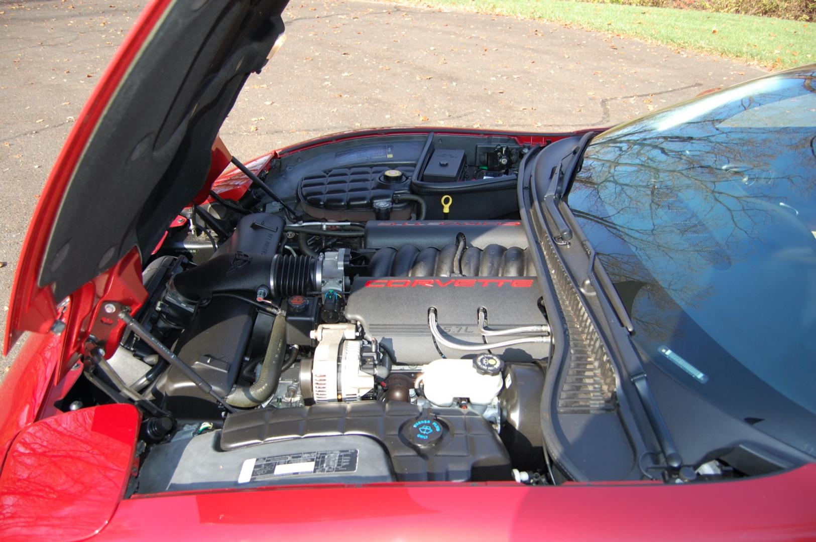 1998 Burgundy /Beige Leather Chevrolet Corvette (1G1YY32G9W5) with an 5.7 liter V8 engine, Automatic transmission, located at 6528 Lower York Road, New Hope, PA, 18938, (215) 862-9555, 40.358707, -74.977882 - Photo#35